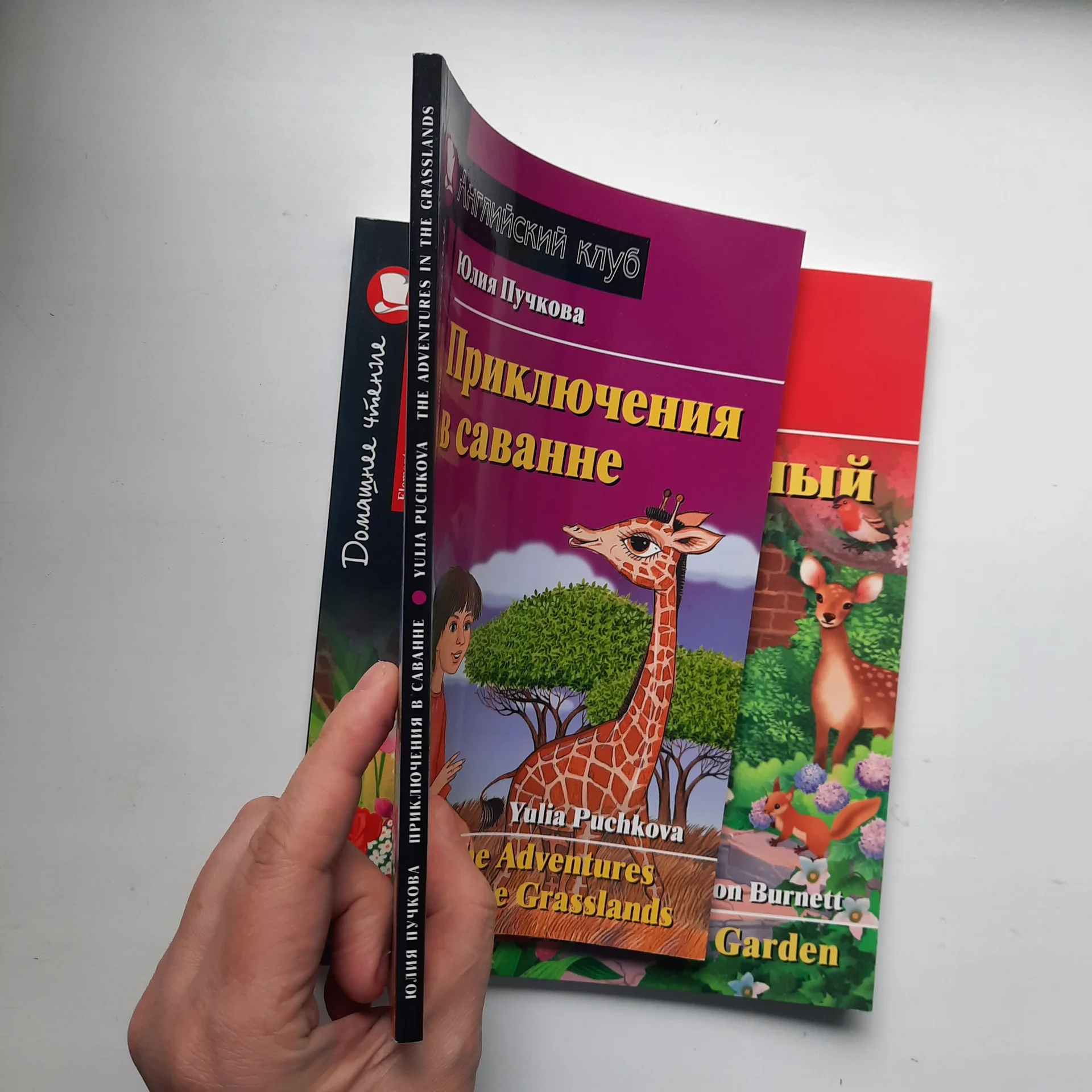 Книги на английском языке - миниатюра 8