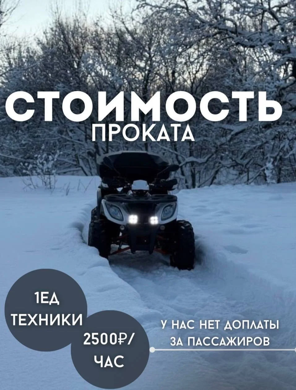 Прокат квадроциклов - миниатюра 6