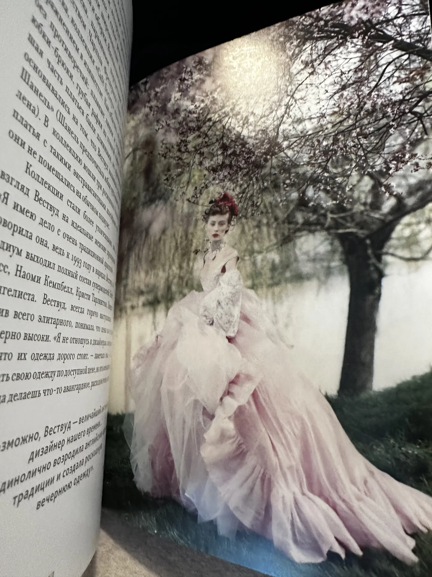 Книга о Вивьен Вествуд - миниатюра 3