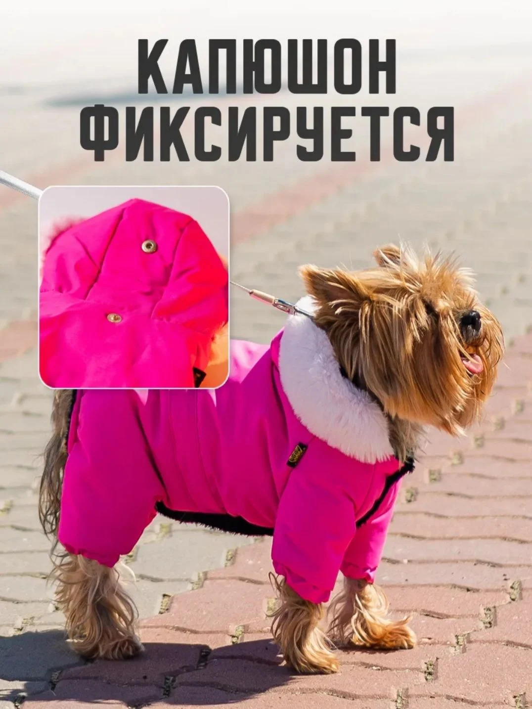 Одежда для собак - миниатюра 3
