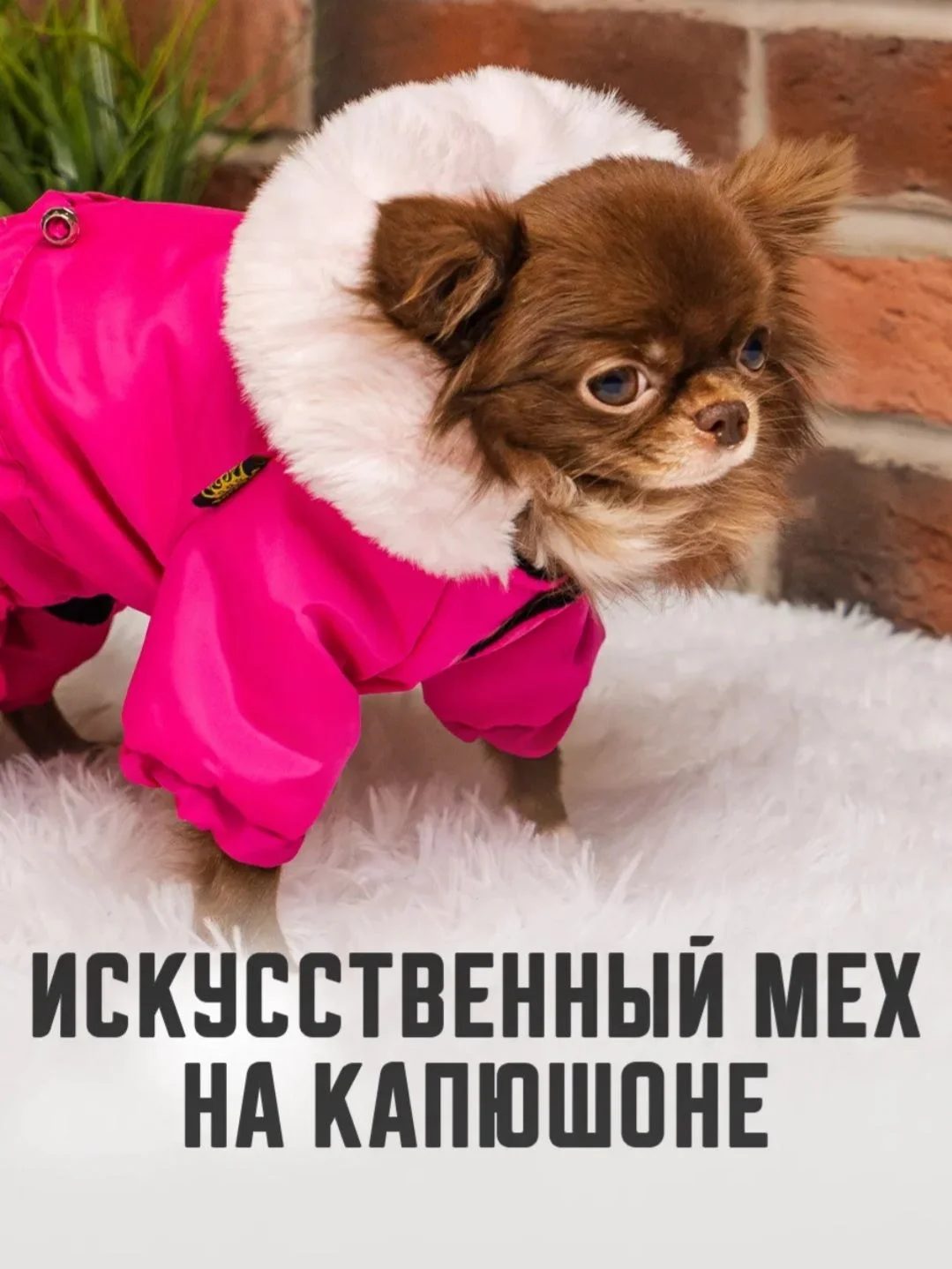 Одежда для собак - миниатюра 5