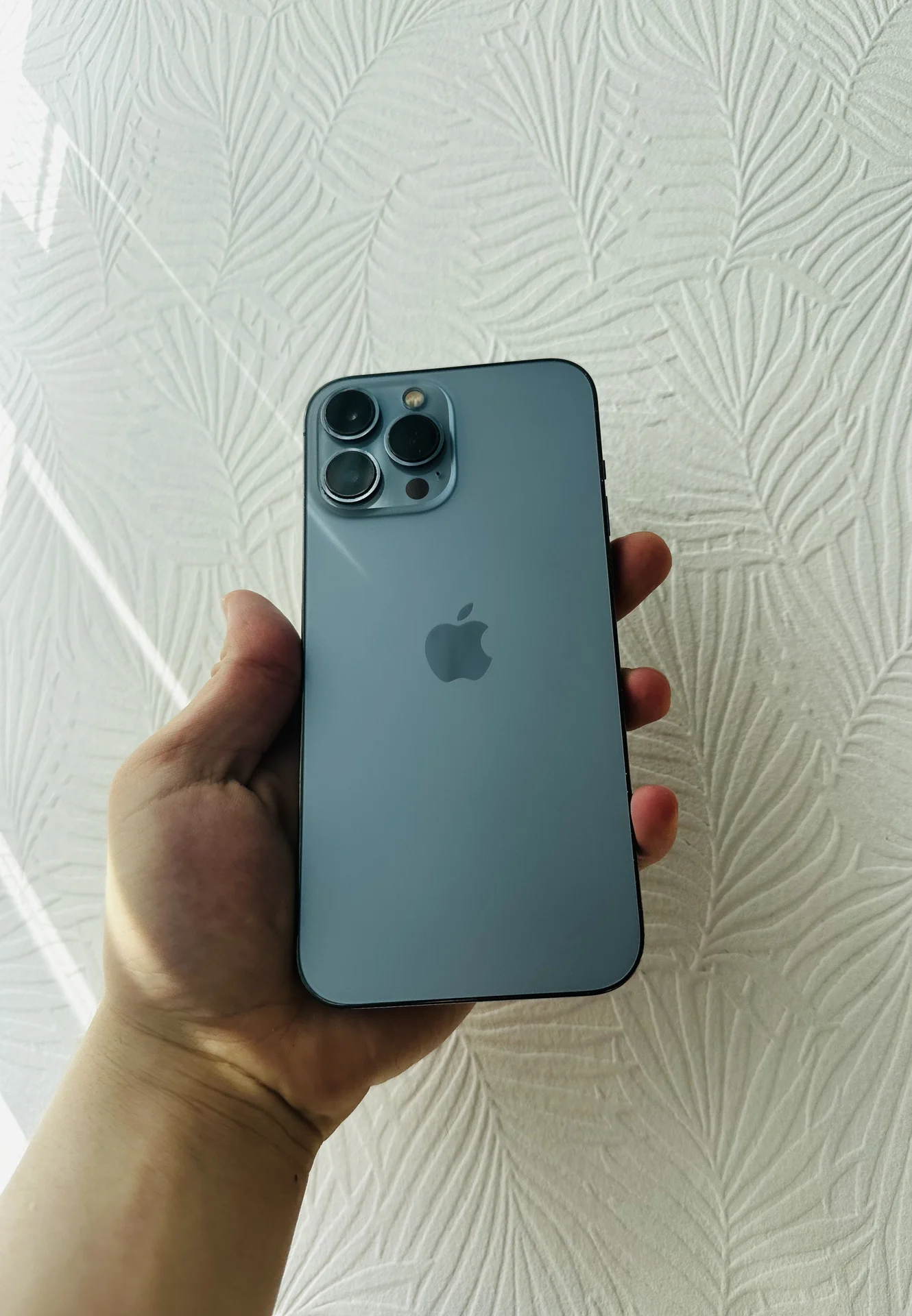 iPhone 13 Pro Max - изображение 1