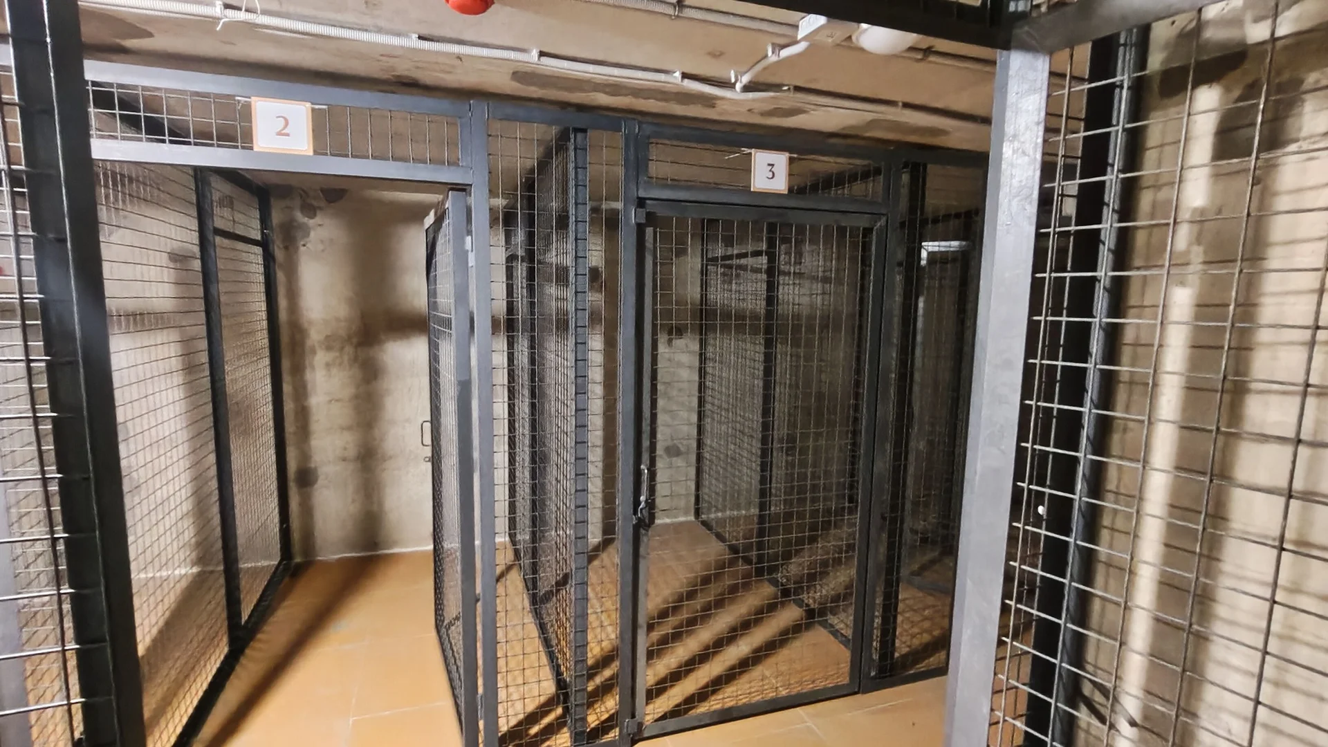 Кладовка/келлер 3,5м² - миниатюра 4