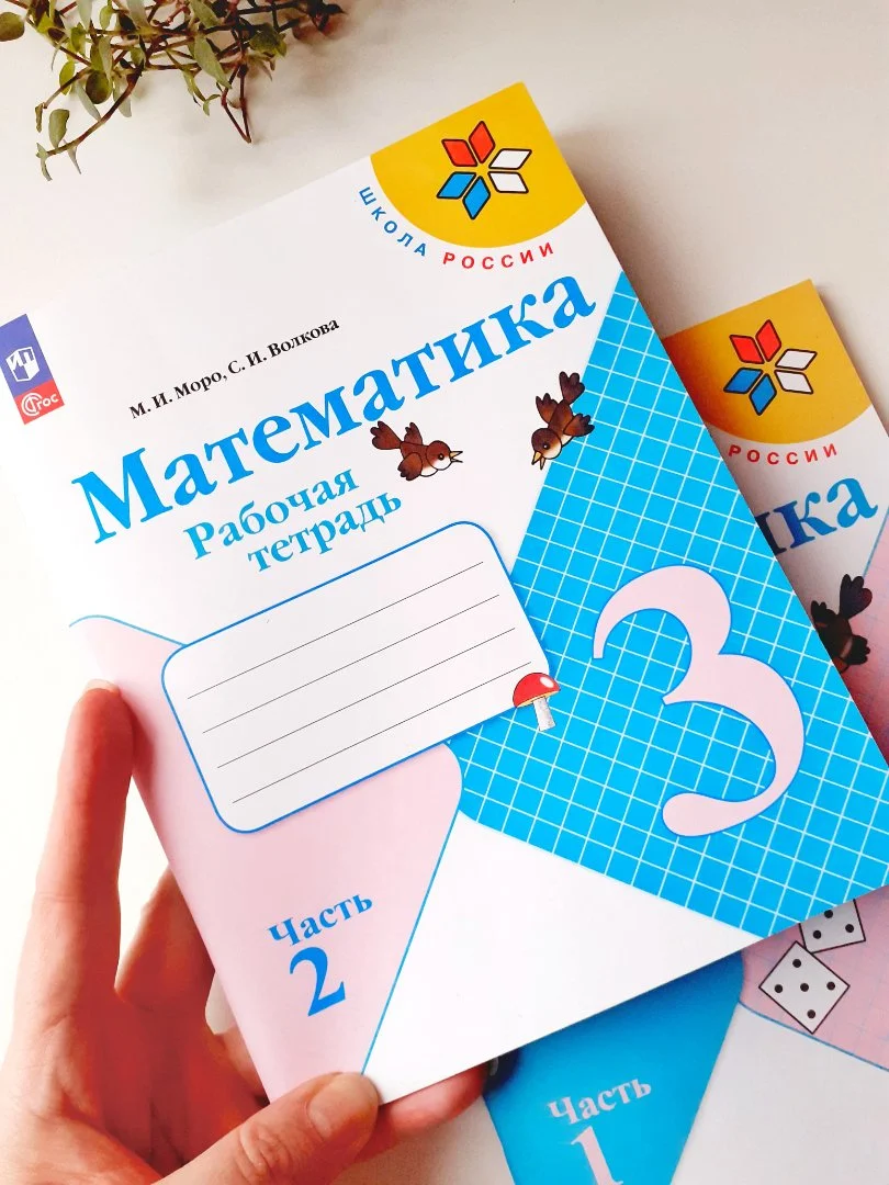 Рабочие тетради по математике, 3 класс (в 2 частях) — М. И. Моро, С. Волкова - миниатюра 9