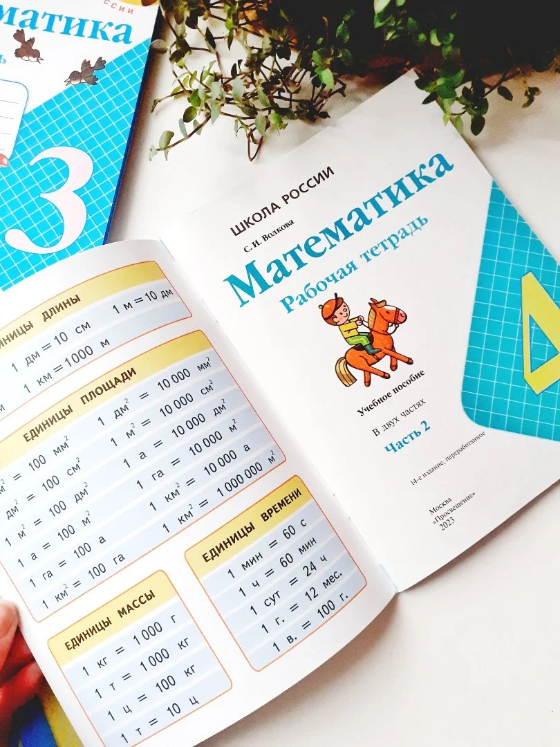 Рабочие тетради по математике, 4 класс (в 2 частях) — С. И. Волкова - миниатюра 8