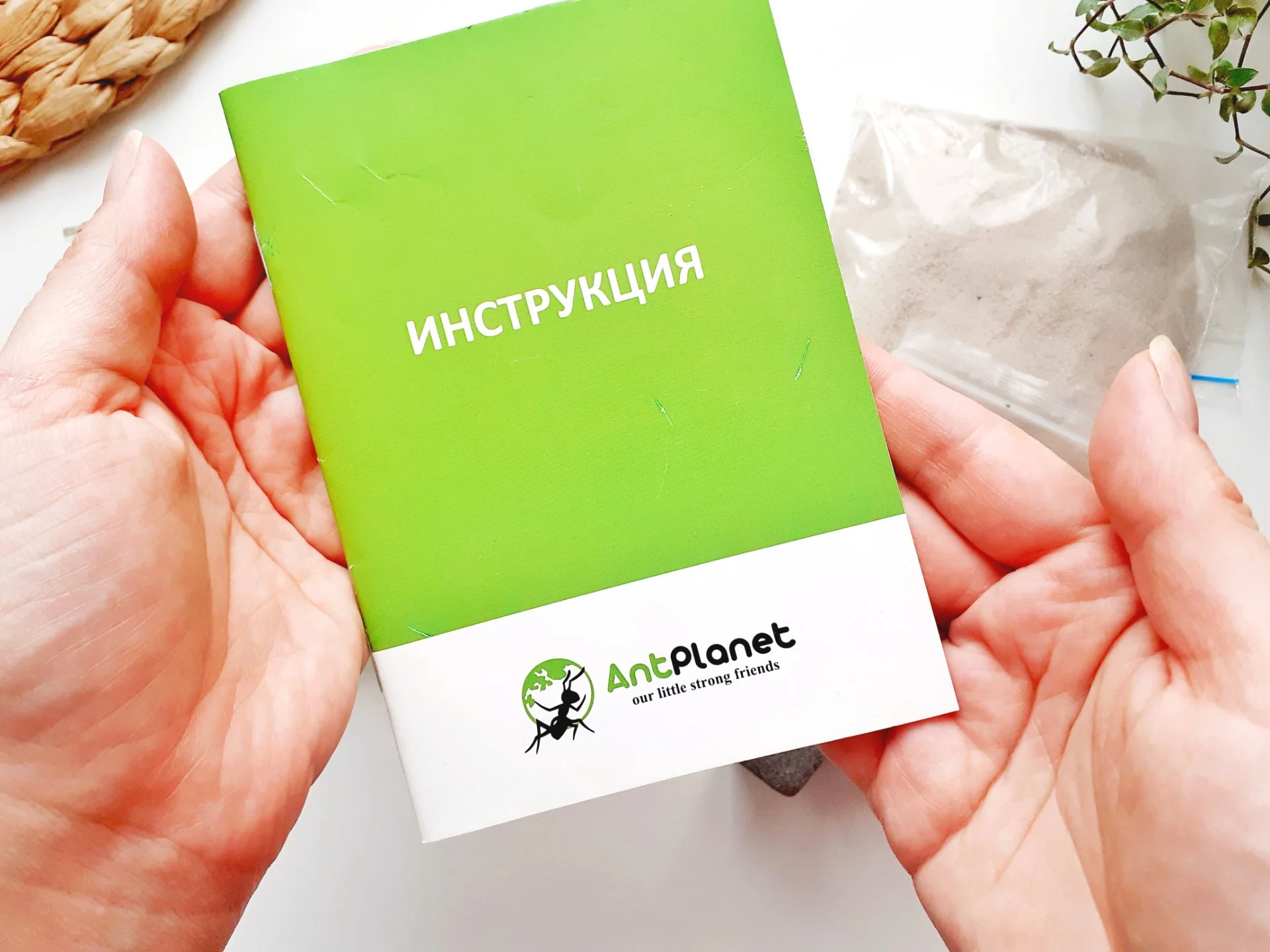 Муравьиная ферма / Формикарий - миниатюра 6
