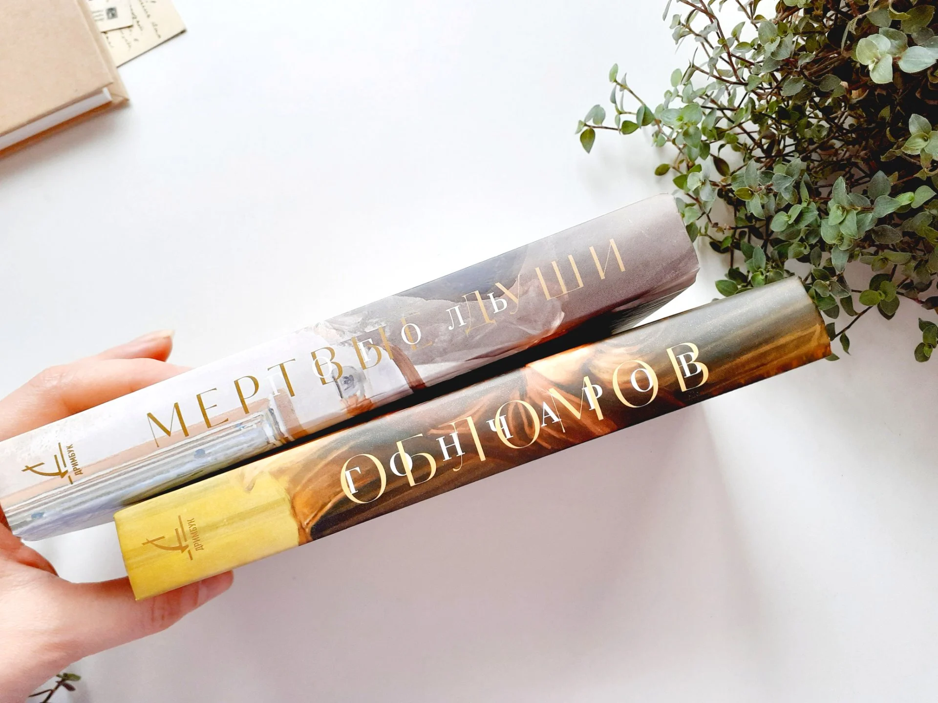 Книга Мертвые души Гоголь Н. / Обломов Гончаров И. Дримбук - миниатюра 3