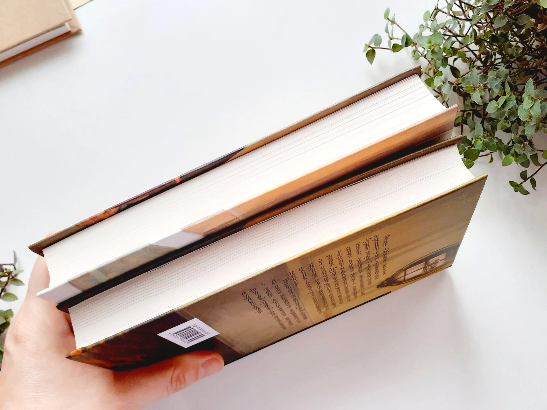 Книга Мертвые души Гоголь Н. / Обломов Гончаров И. Дримбук - миниатюра 4