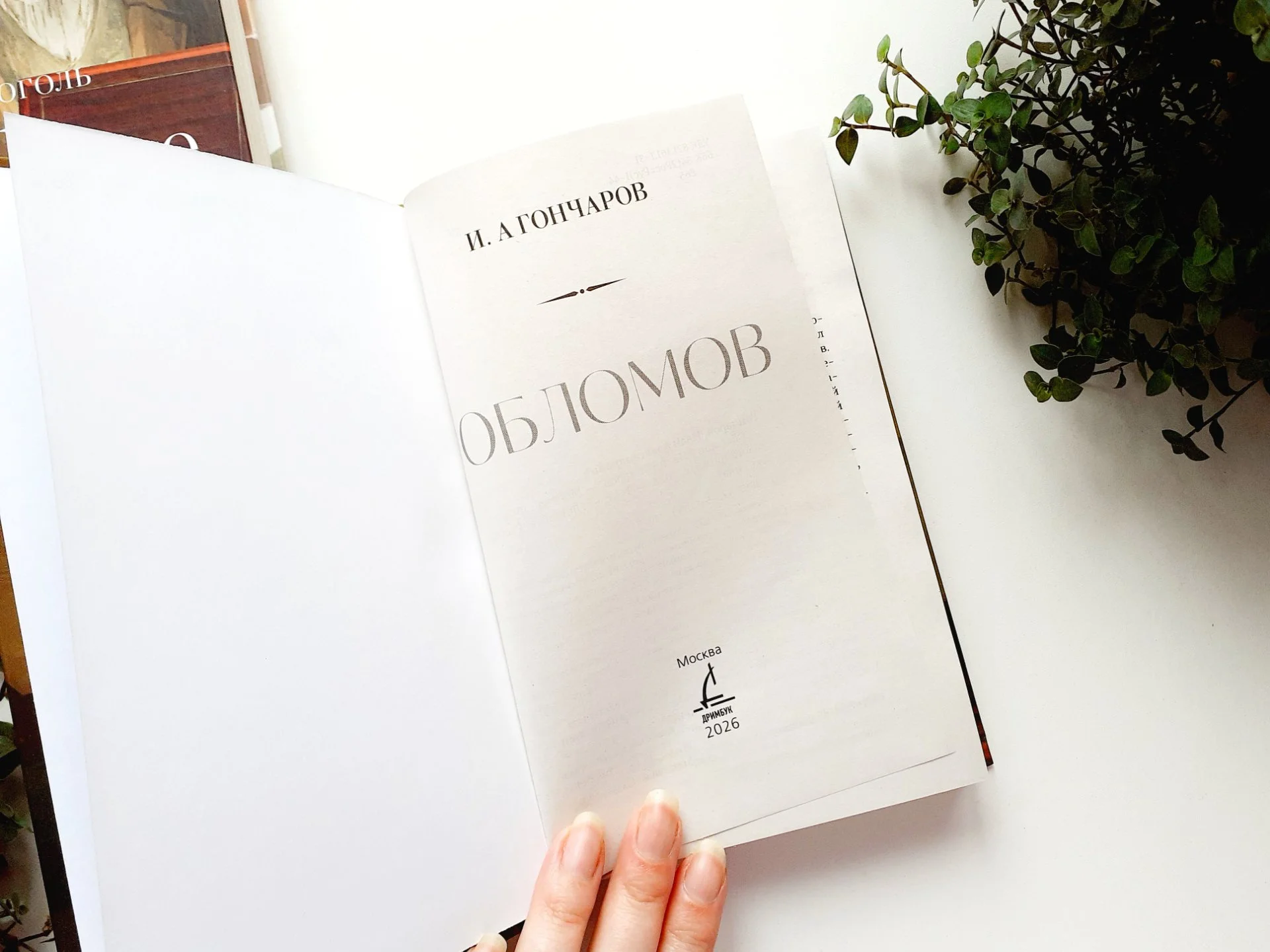 Книга Мертвые души Гоголь Н. / Обломов Гончаров И. Дримбук - миниатюра 10