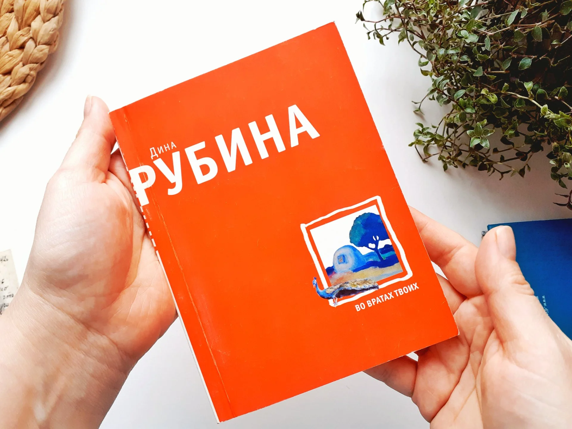Дина Рубина Книги, 2 шт - миниатюра 7