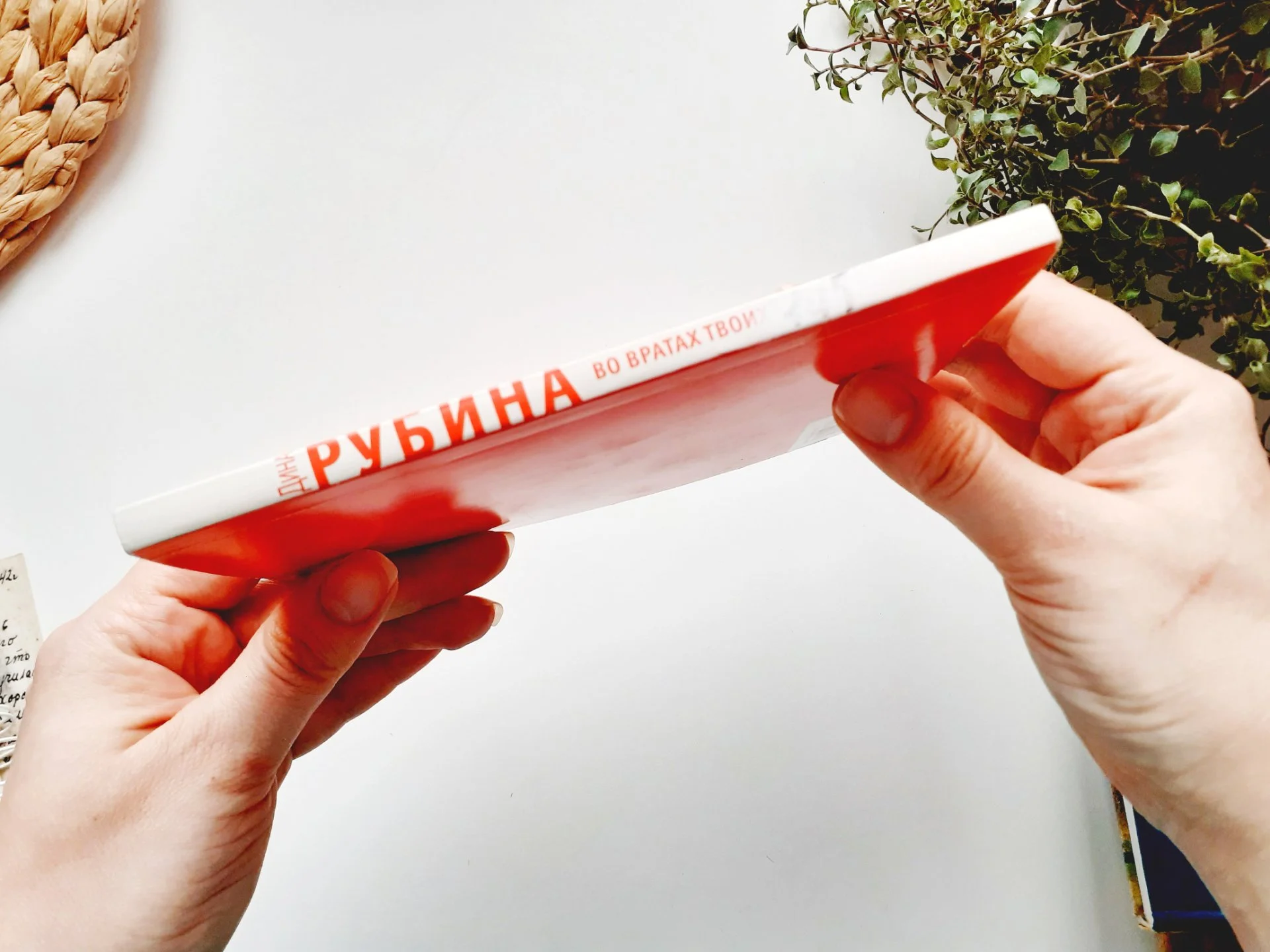 Дина Рубина Книги, 2 шт - миниатюра 8