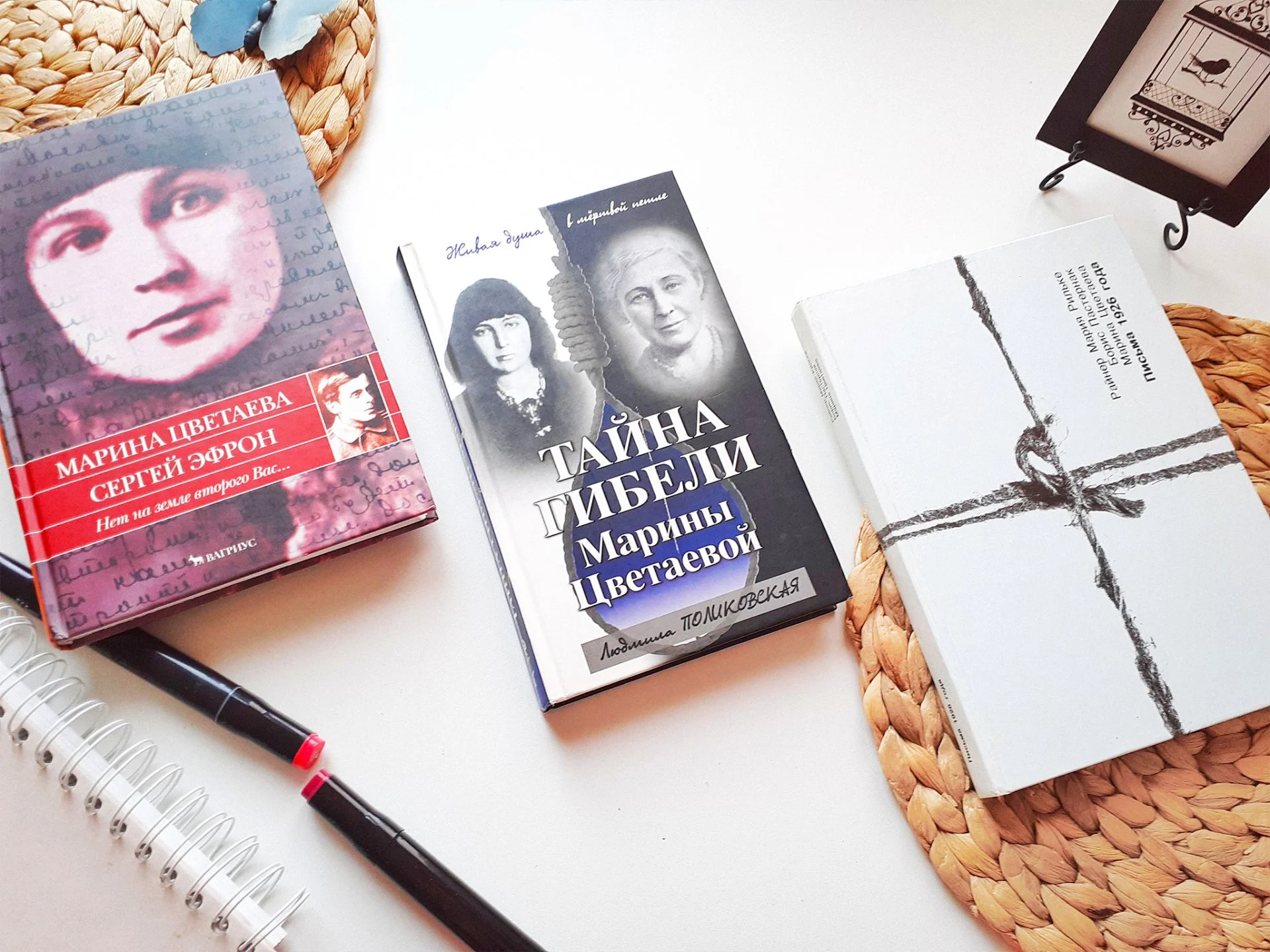 Книга Марина Цветаева Сергей Эфрон — Нет на земле второго вас Дневники, письма, воспоминания - изображение 1