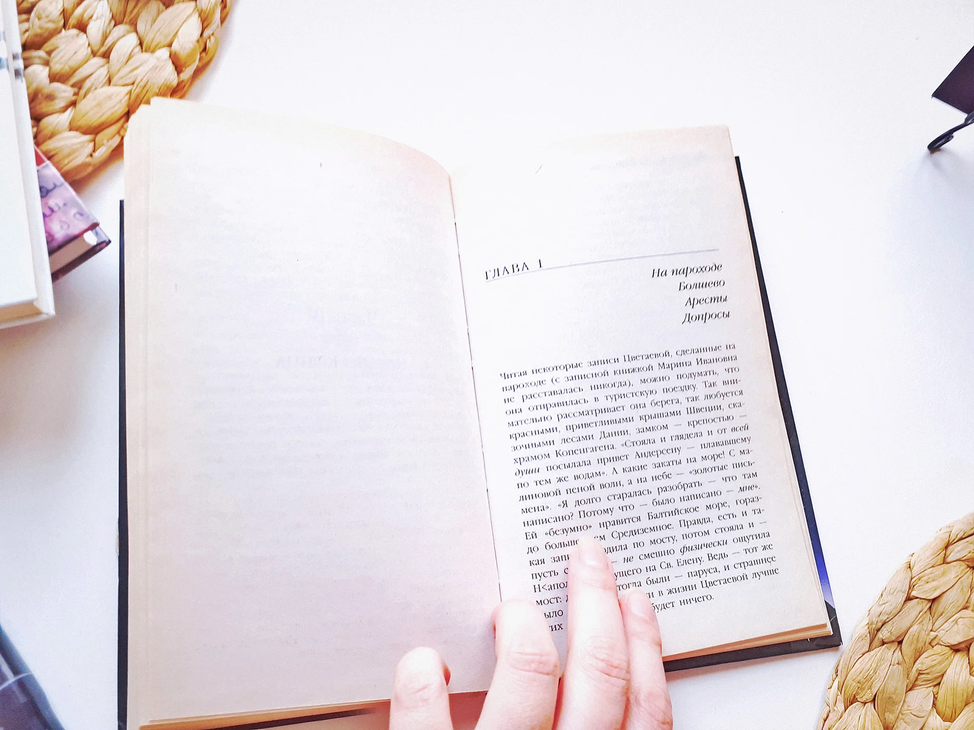 Книга Марина Цветаева Сергей Эфрон — Нет на земле второго вас Дневники, письма, воспоминания - миниатюра 9
