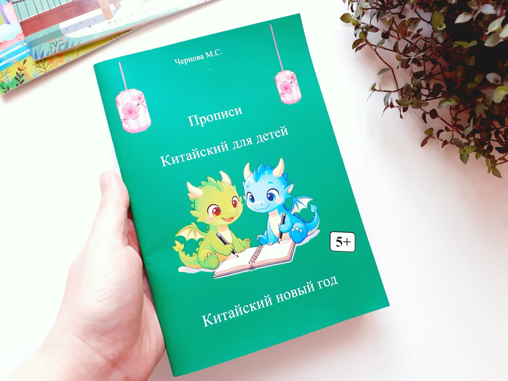 Детские книги на китайском языке 3шт + пропись - миниатюра 8