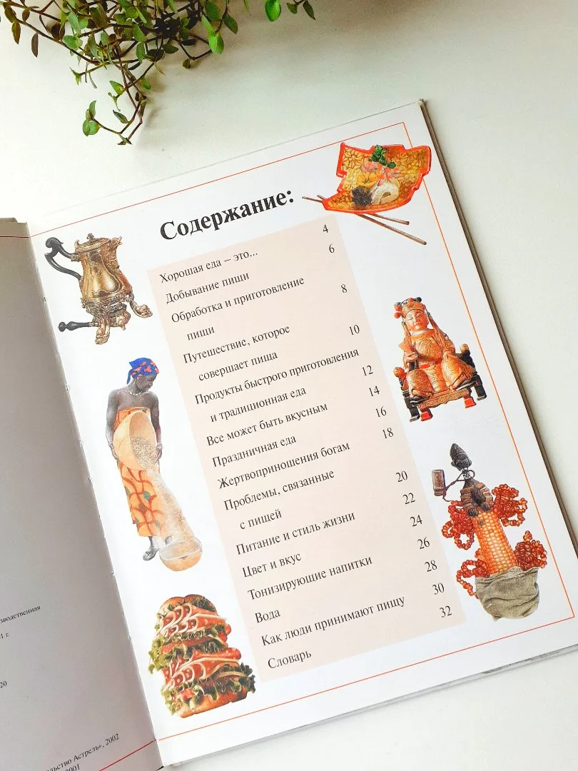Кнгига Еда. Фиона Макдональд. (серия «Всё обо всём») | Детская энциклопедия - миниатюра 3