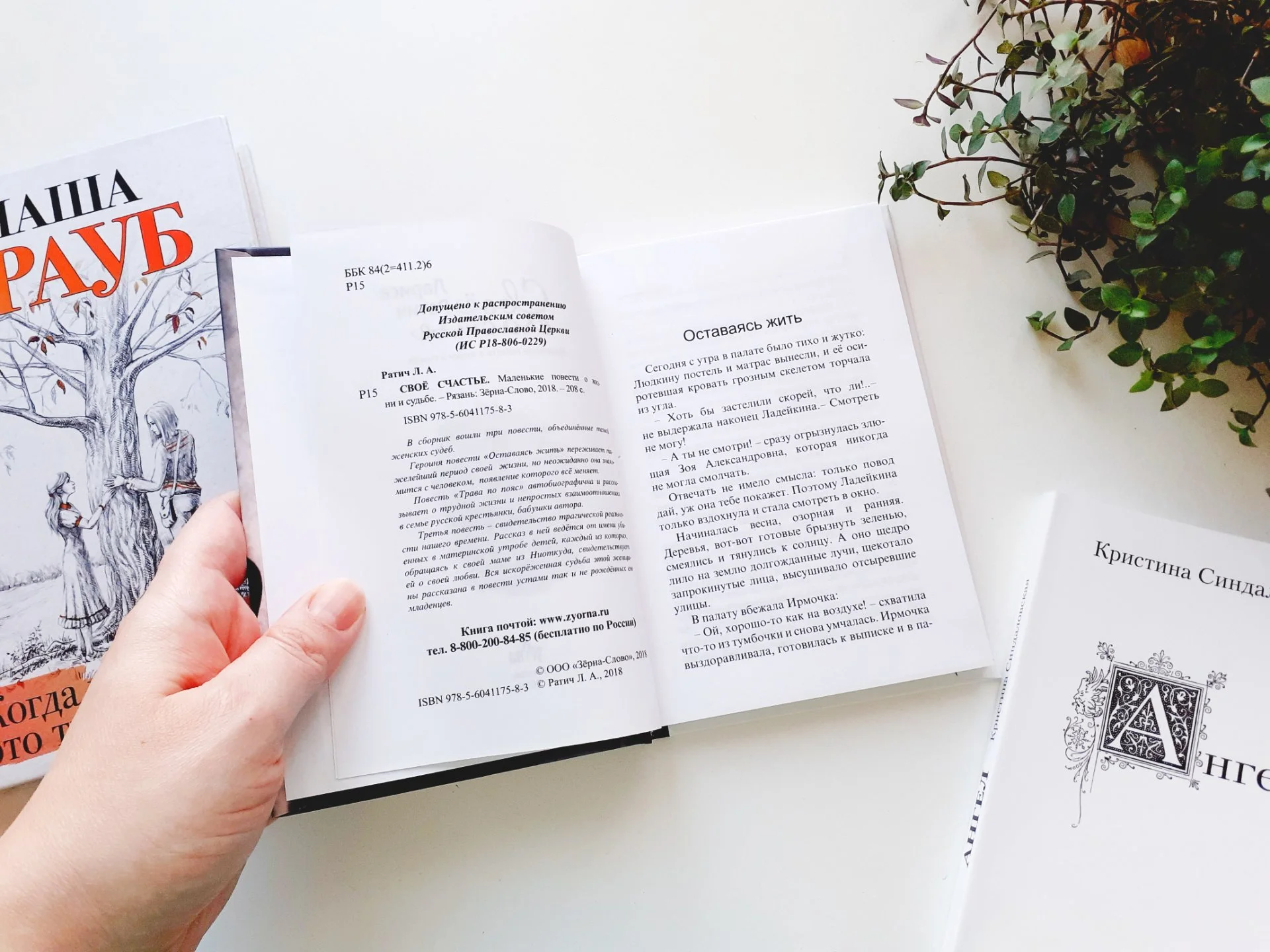 Книги пакетом Новые Женская проза Маша Трауб и др - миниатюра 7