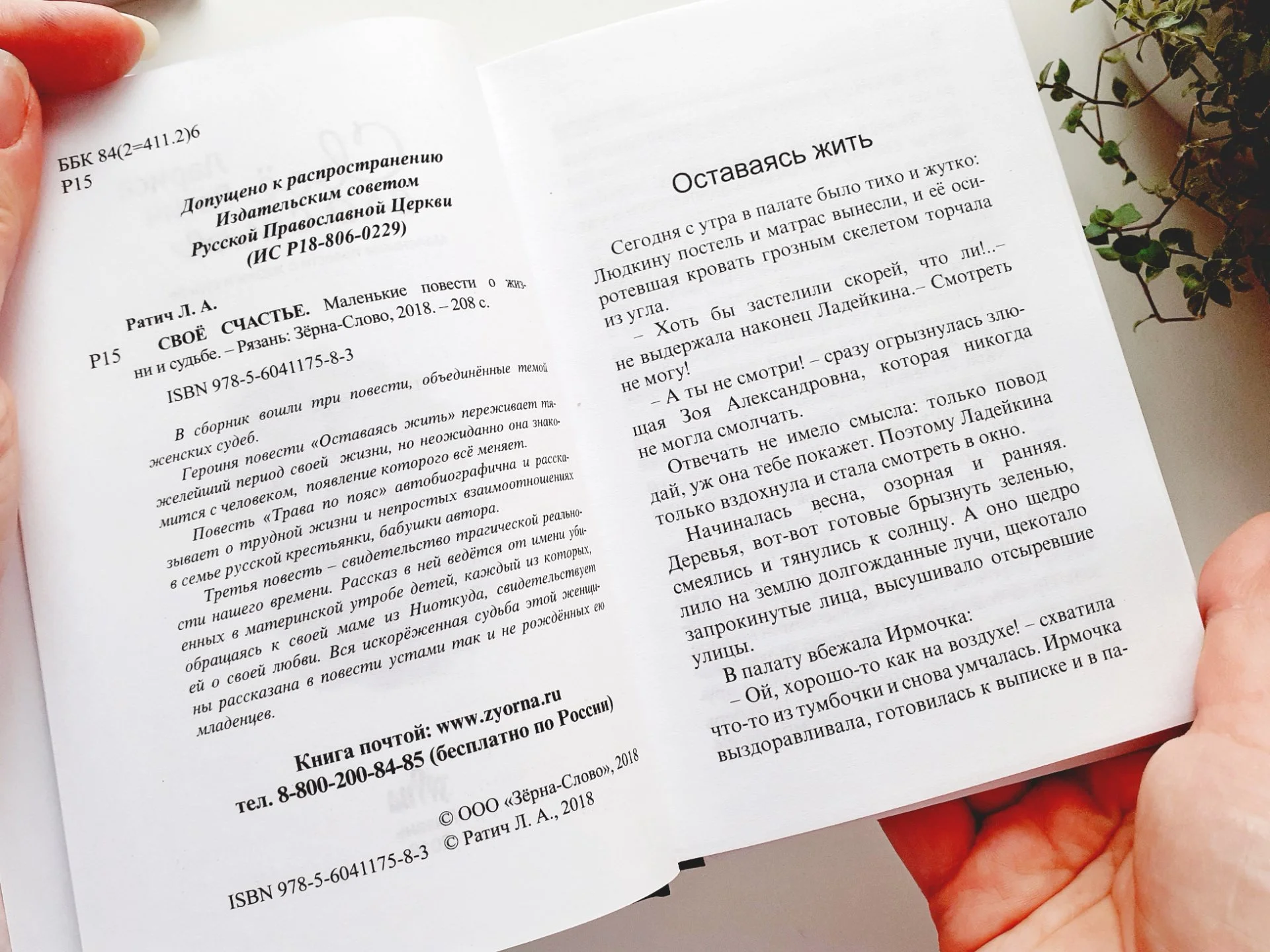 Книги пакетом Новые Женская проза Маша Трауб и др - миниатюра 8