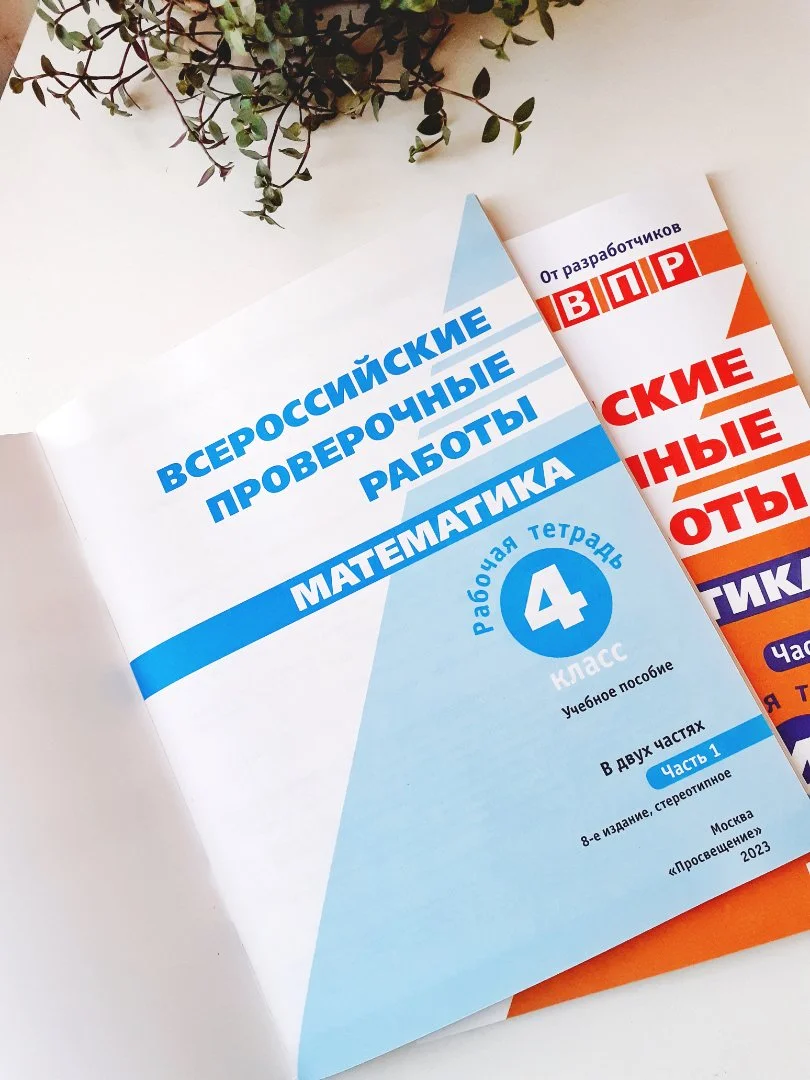 ВПР. Математика. 4 класс. Рабочая тетрадь в 2-х частях — Н. А. Сопрунова - миниатюра 2