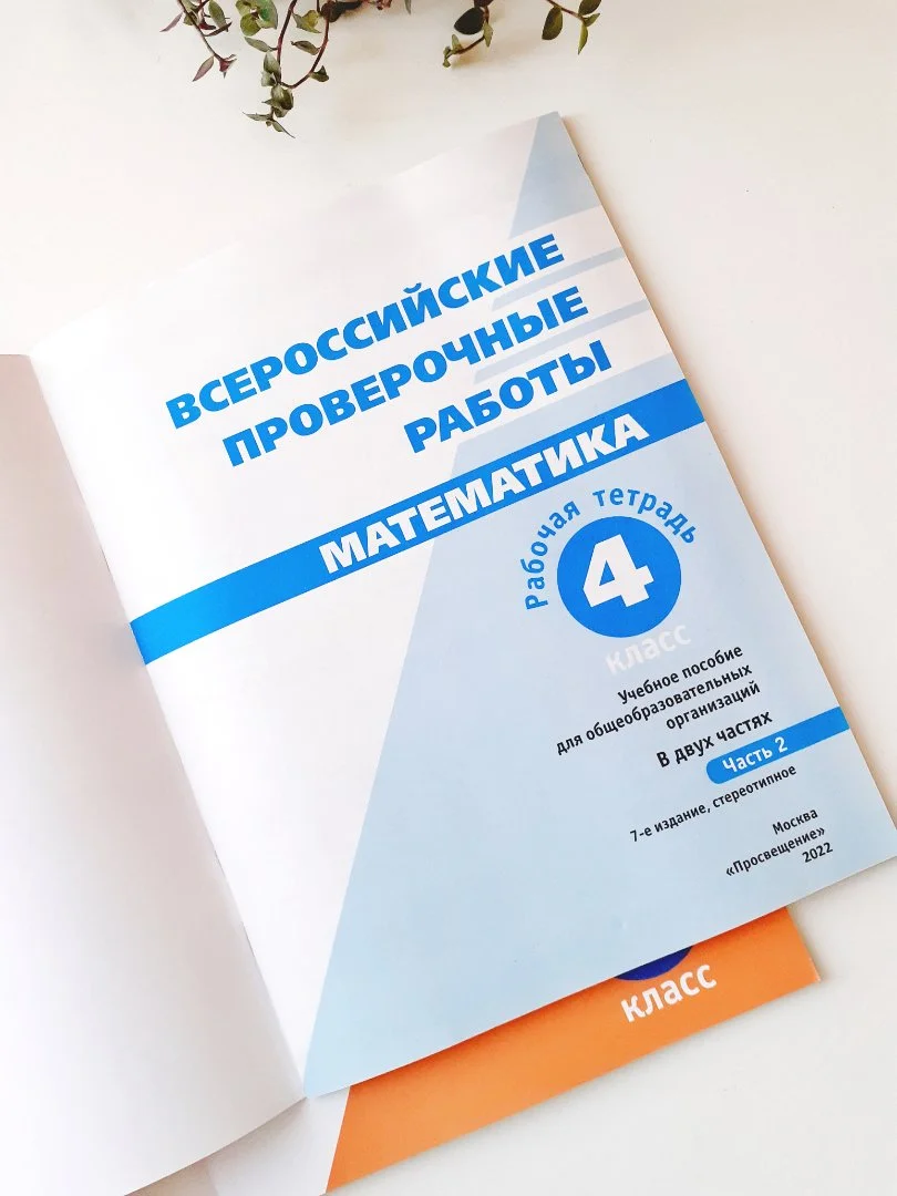 ВПР. Математика. 4 класс. Рабочая тетрадь в 2-х частях — Н. А. Сопрунова - миниатюра 7