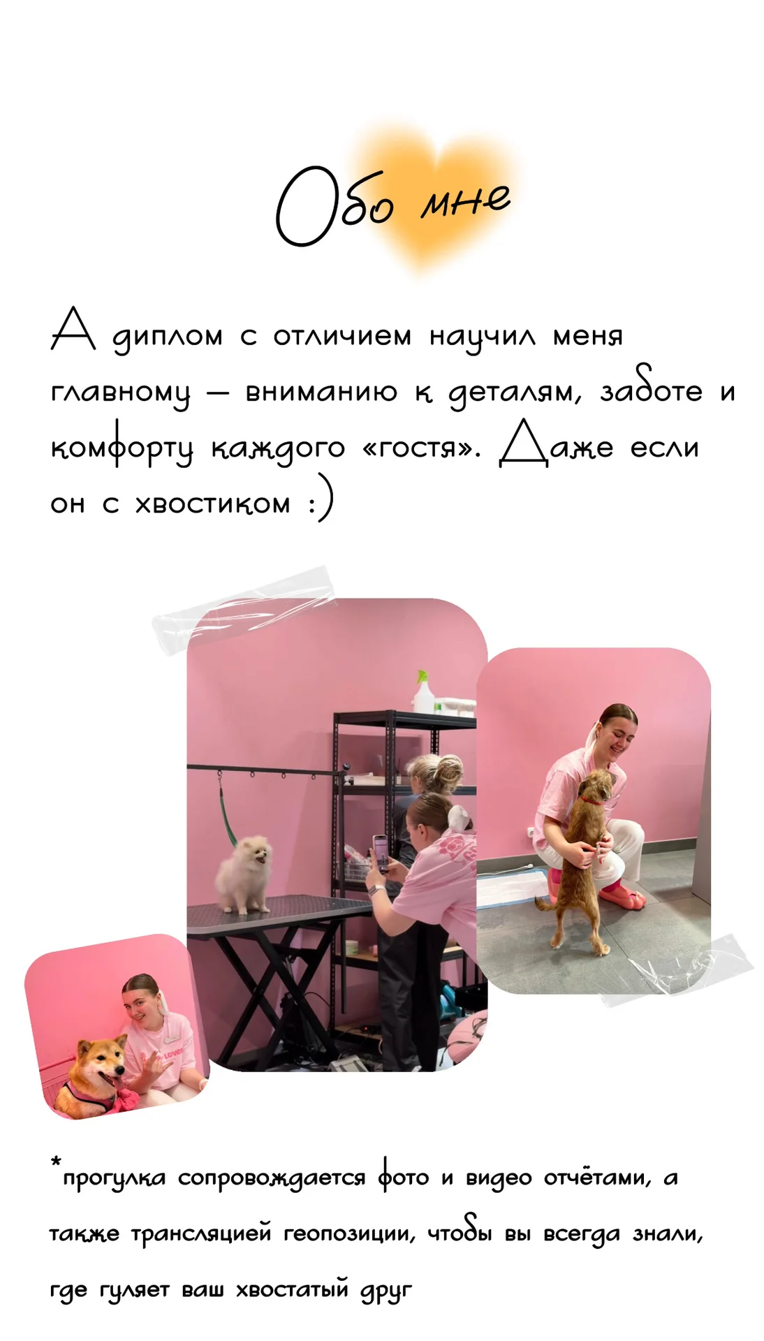 Выгул собак - миниатюра 3