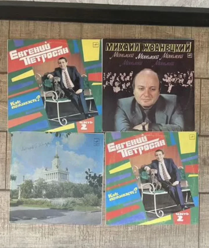 Виниловые пластинки - миниатюра 3
