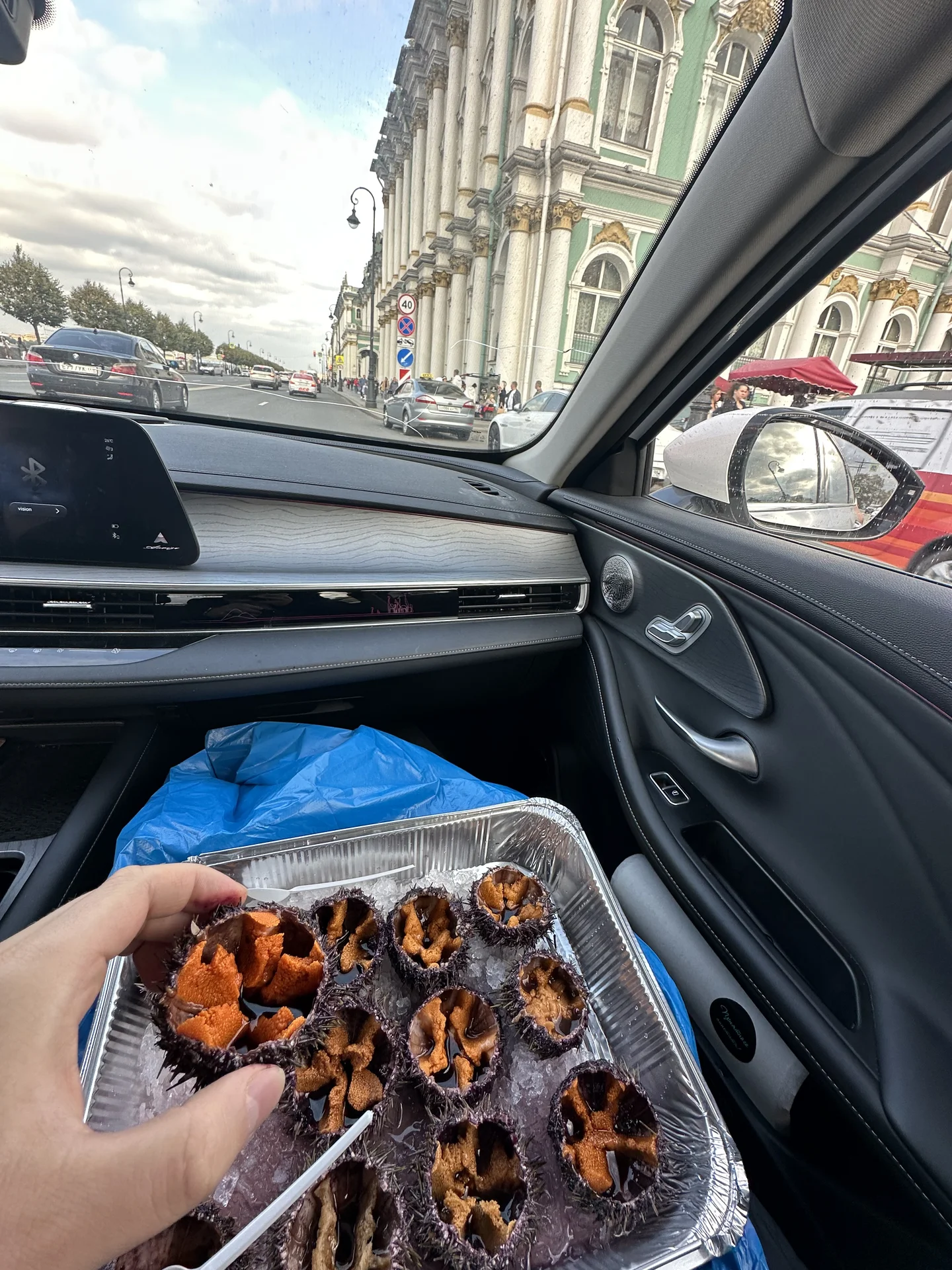 Ежи морские живые - миниатюра 2