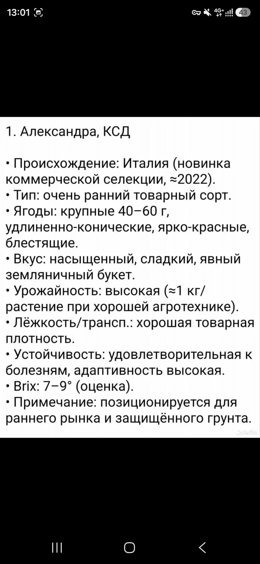 Редкие сорта клубники - миниатюра 3