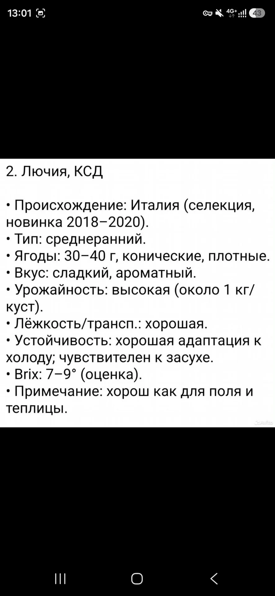 Редкие сорта клубники - миниатюра 4