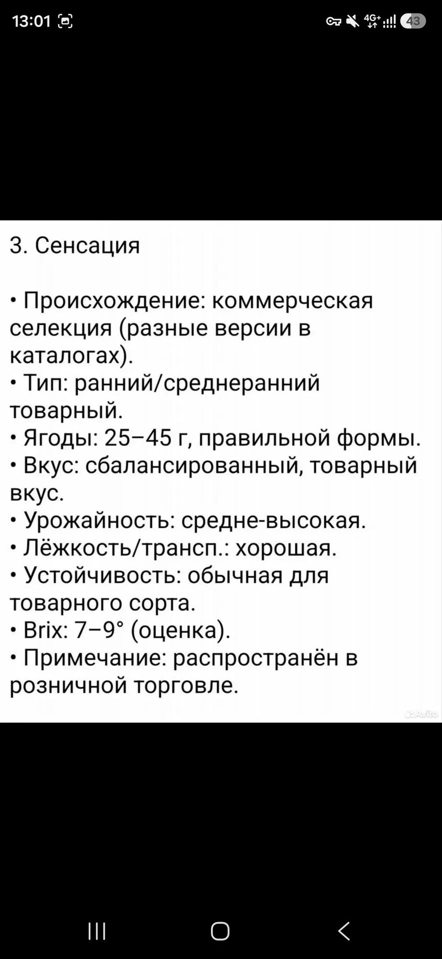 Редкие сорта клубники - миниатюра 5