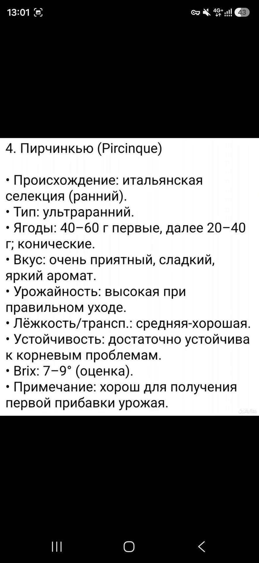 Редкие сорта клубники - миниатюра 6