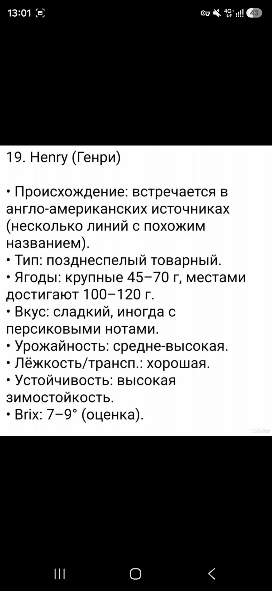Редкие сорта клубники - миниатюра 7