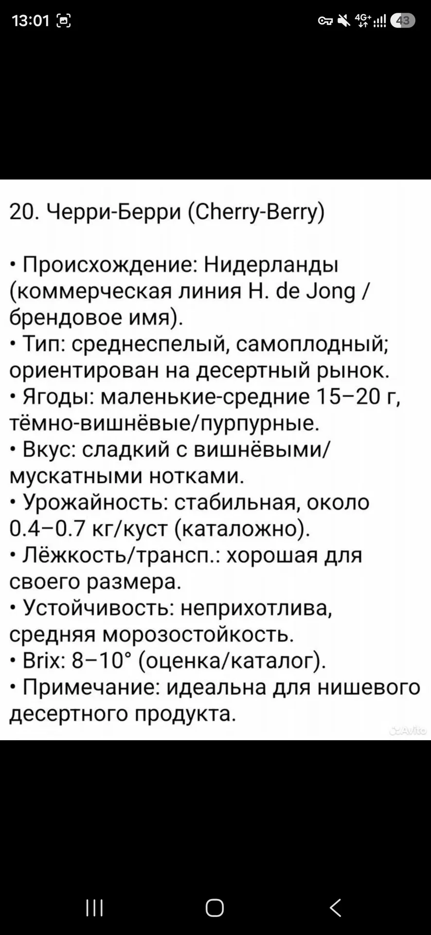 Редкие сорта клубники - миниатюра 8
