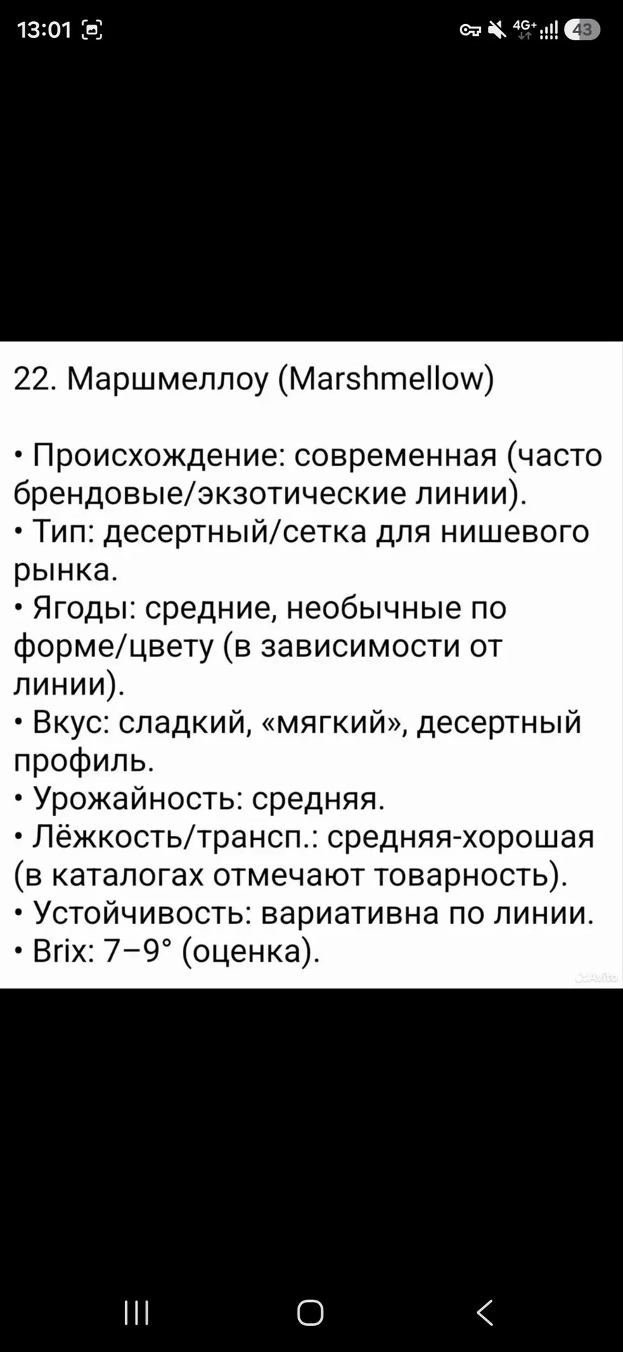 Редкие сорта клубники - миниатюра 9