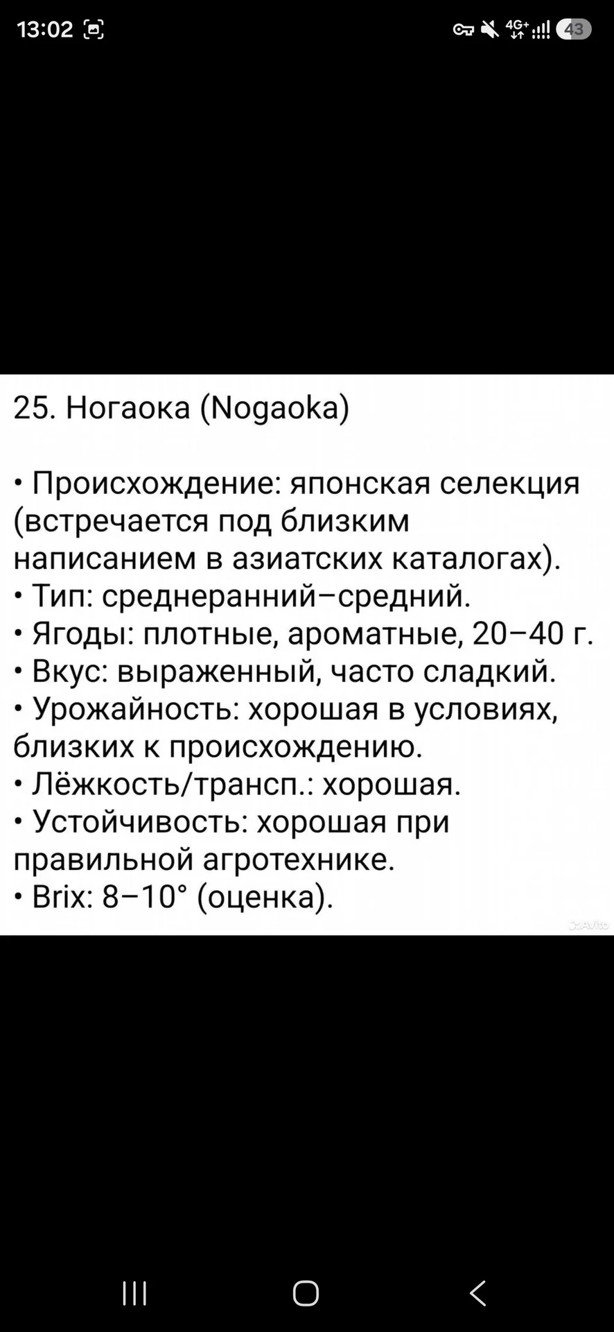 Редкие сорта клубники - миниатюра 10