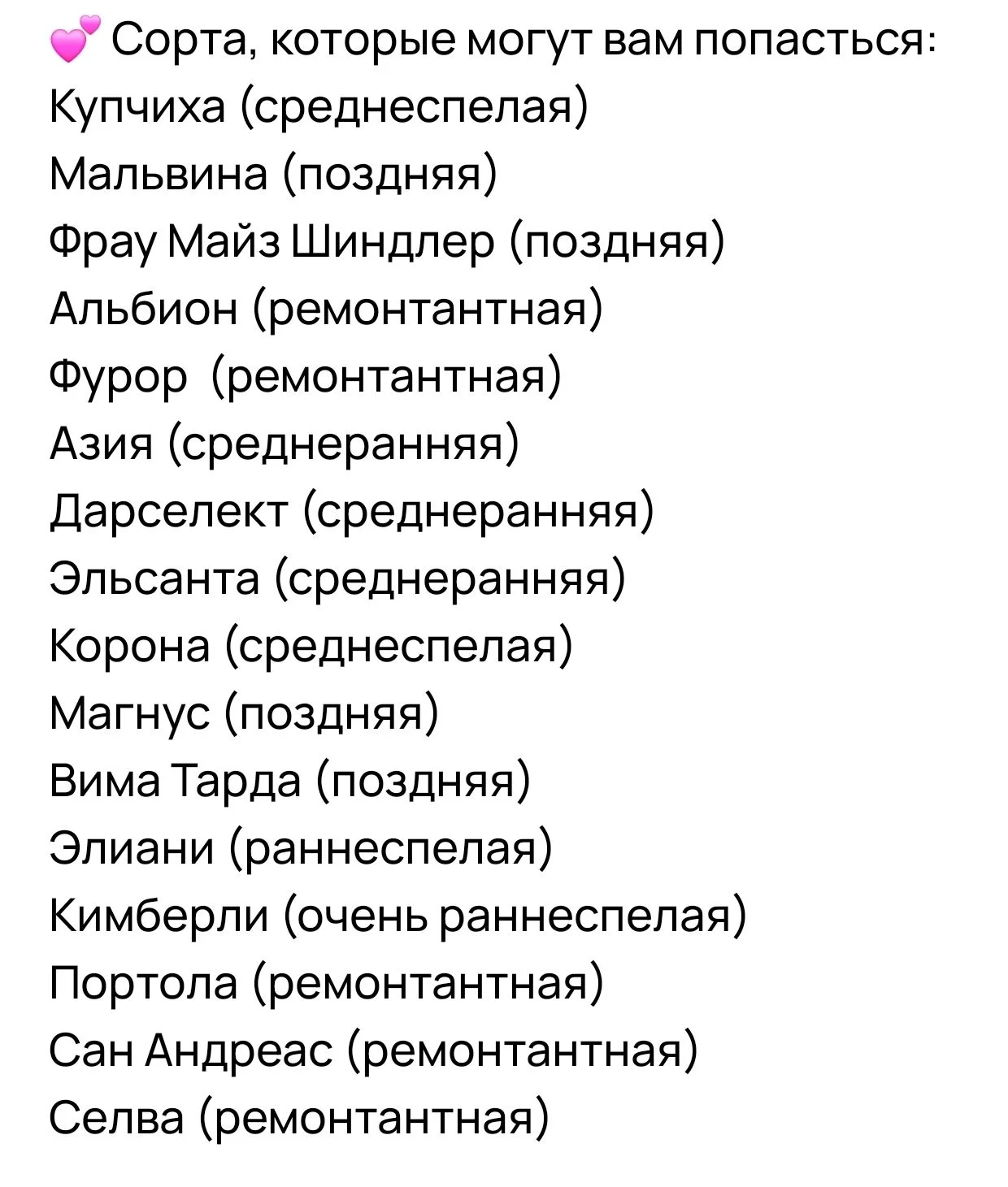 Саженцы клубники, ассорти современных сортов - миниатюра 3