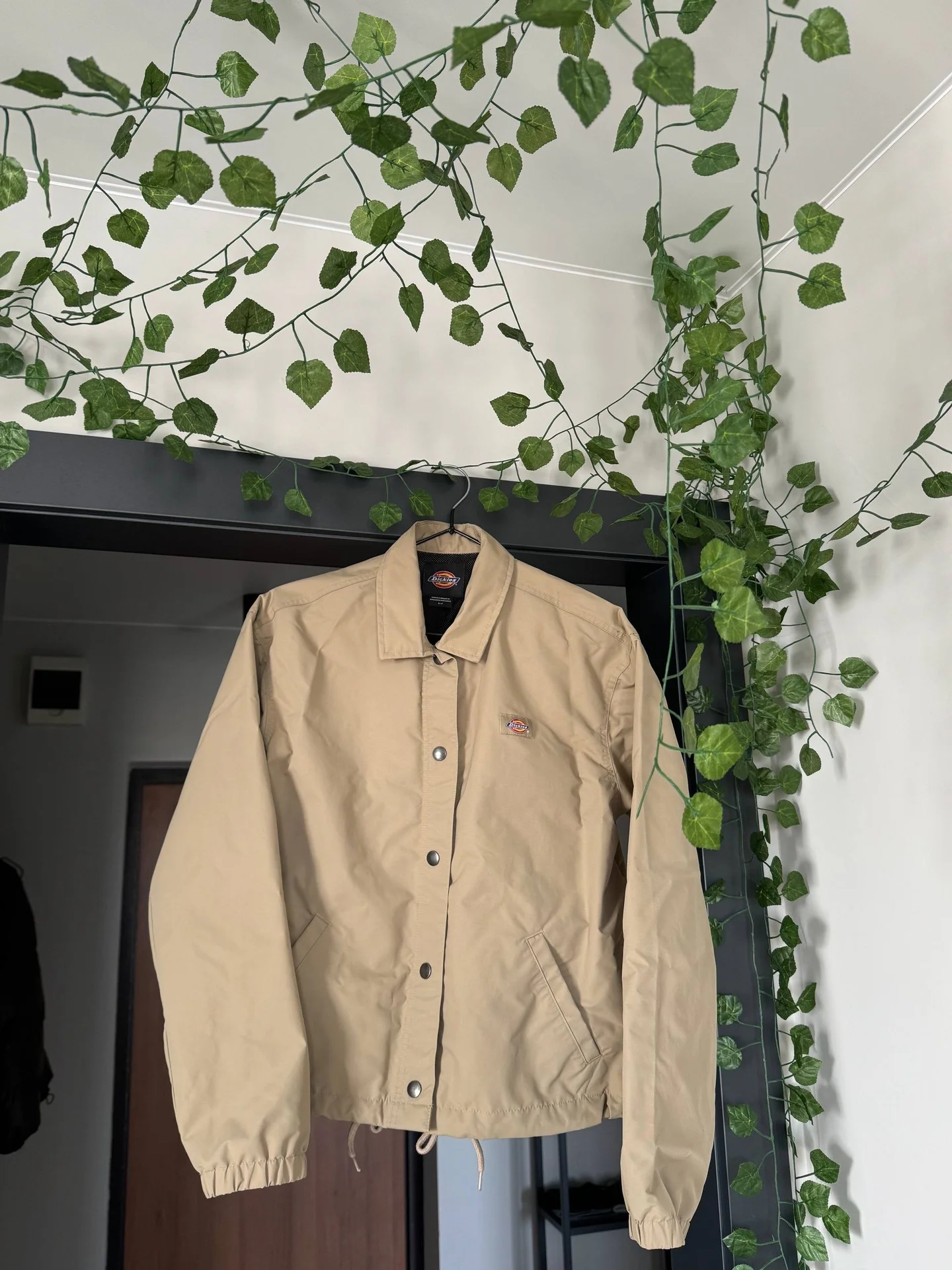 Ветровка Dickies - изображение 1
