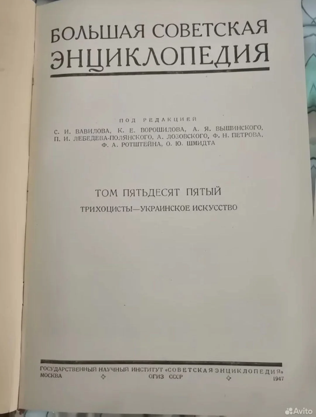 Большая Советская Энциклопедия - миниатюра 5
