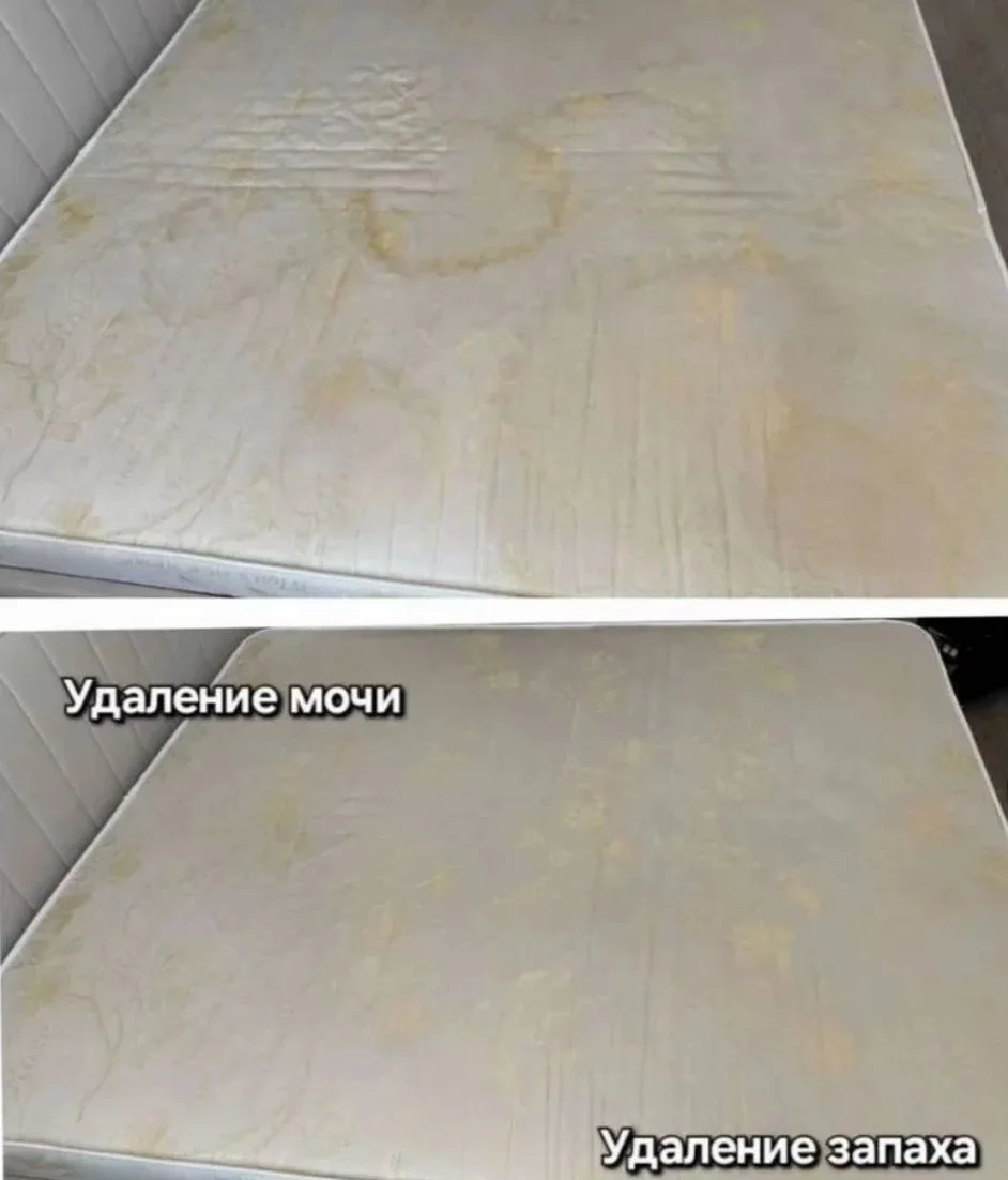 Выездная химчистка мягкой мебели, КЛИНИНГ - миниатюра 7