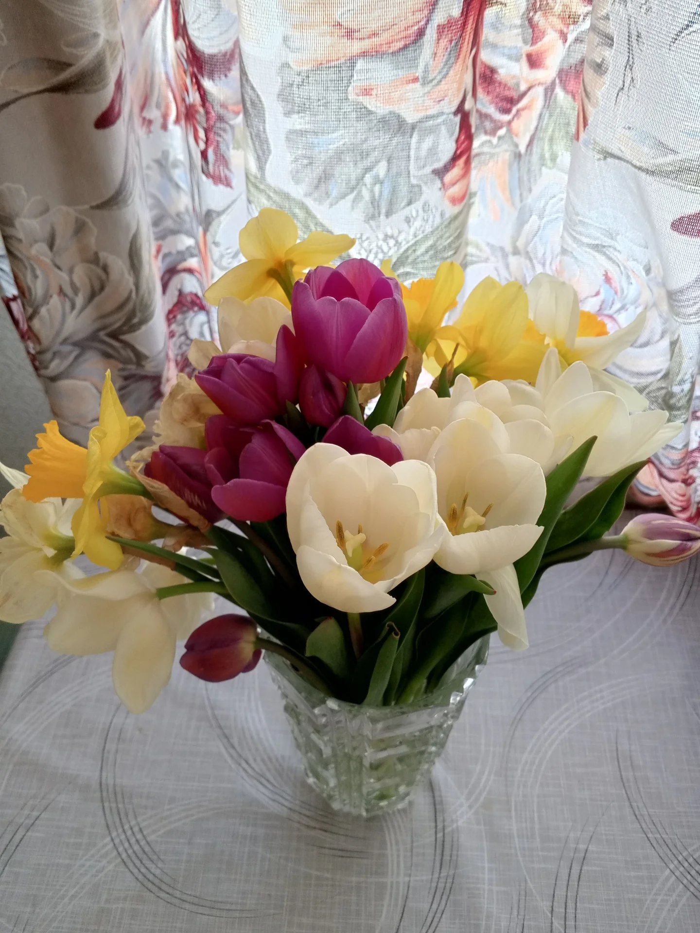 Луковицы тюльпанов 💐 - миниатюра 5