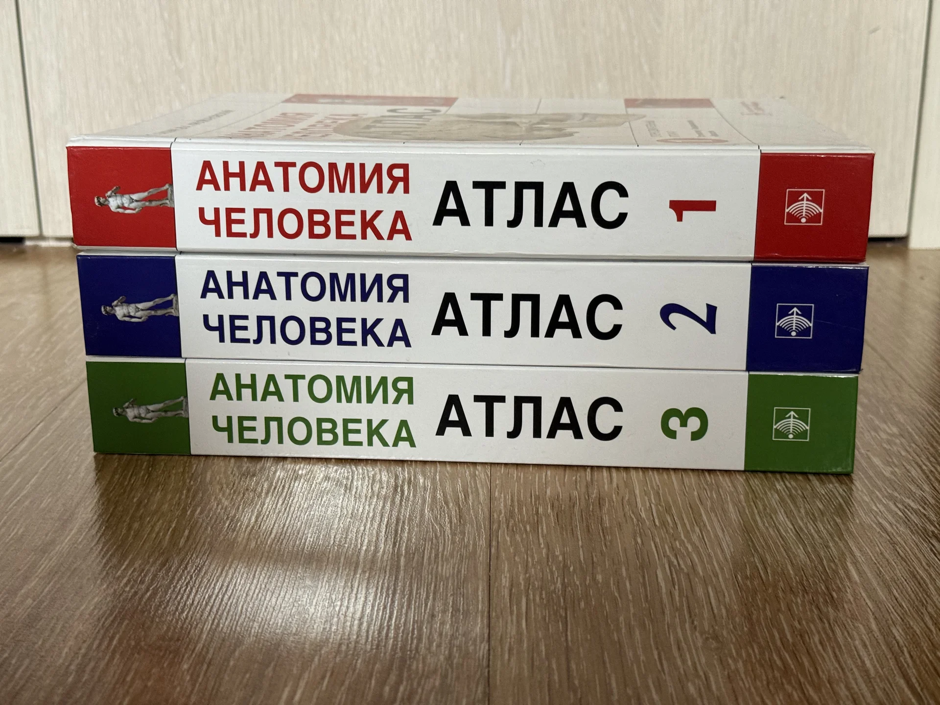 Сборник атласов по анатомии Билич Крыжановский - миниатюра 2