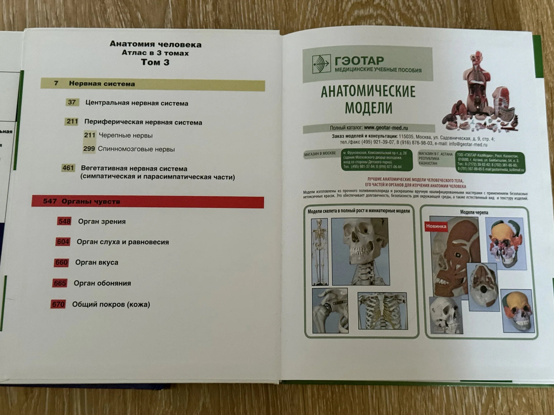 Сборник атласов по анатомии Билич Крыжановский - миниатюра 6