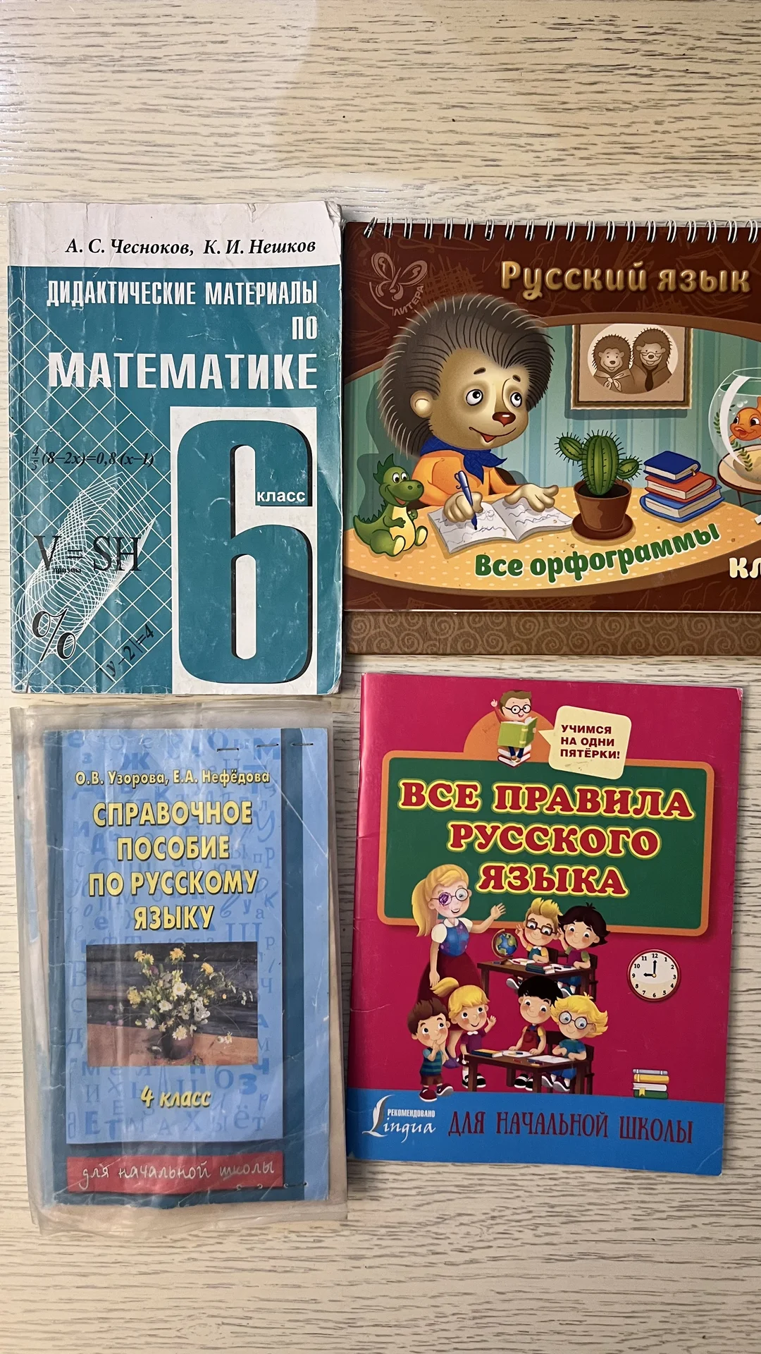 Учебники, практические тетради, учебные пособия - миниатюра 2
