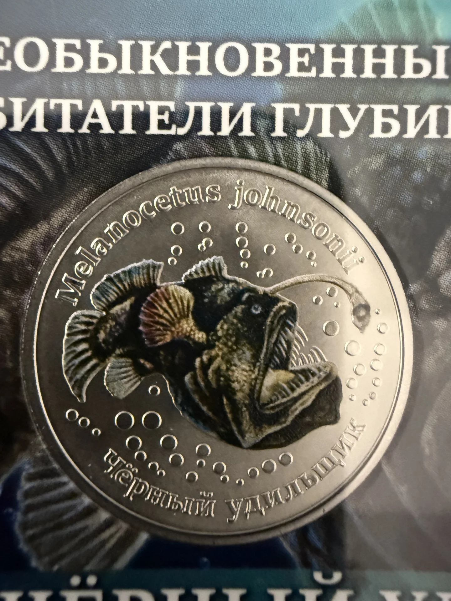 Жетон СПМД 2026 новинка - изображение 1