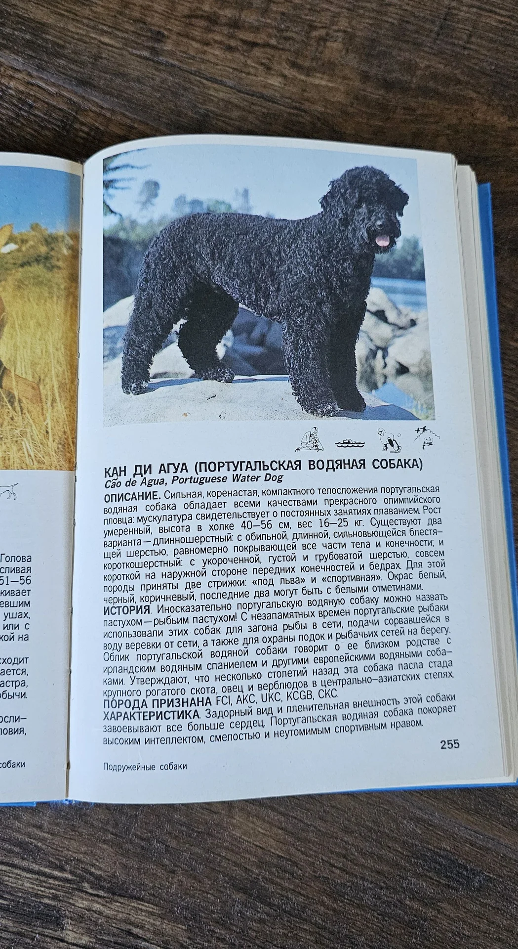 Альбом энциклопедия малый атлас пород собак - миниатюра 9
