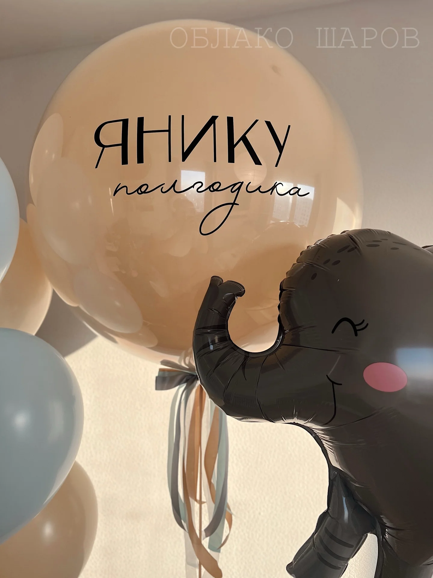 Гелиевые шары на выписку и день рождения. Шарики - миниатюра 3