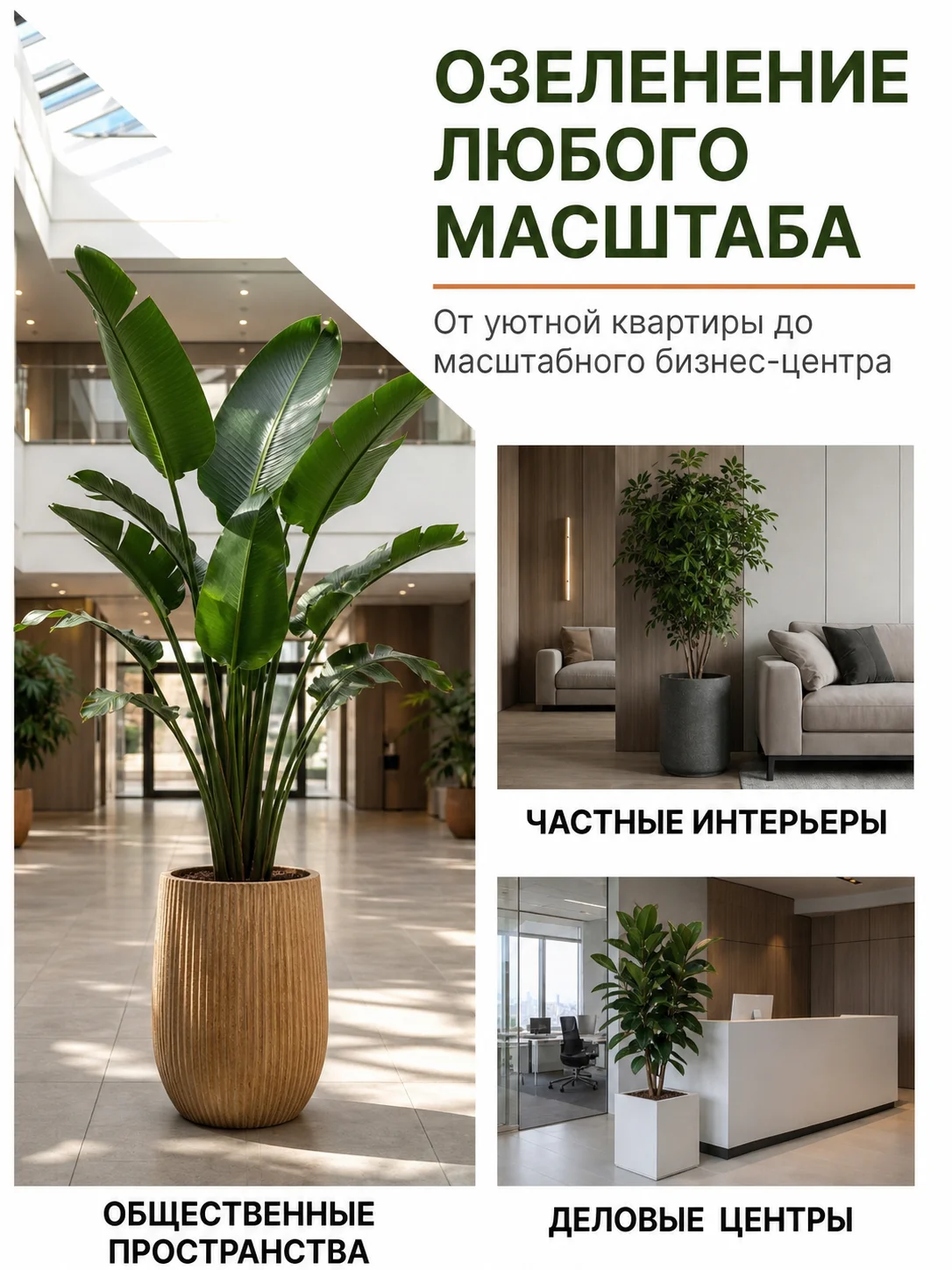 Озеленение дом/офис/ресторан Фитодизайн Уход Перес - миниатюра 2