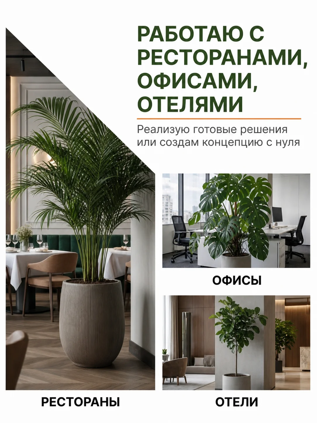 Озеленение дом/офис/ресторан Фитодизайн Уход Перес - миниатюра 3