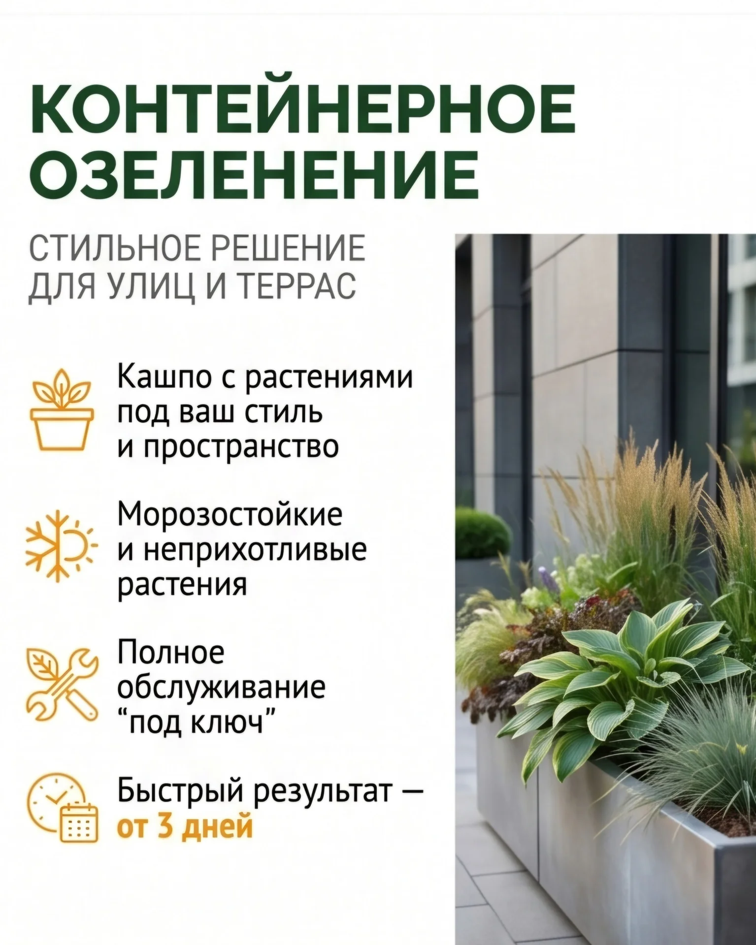 Озеленение дом/офис/ресторан Фитодизайн Уход Перес - миниатюра 4
