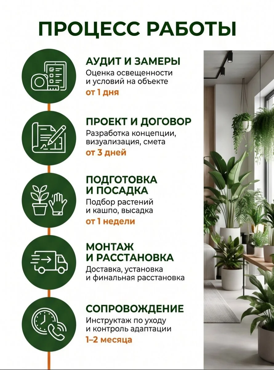 Озеленение дом/офис/ресторан Фитодизайн Уход Перес - миниатюра 6