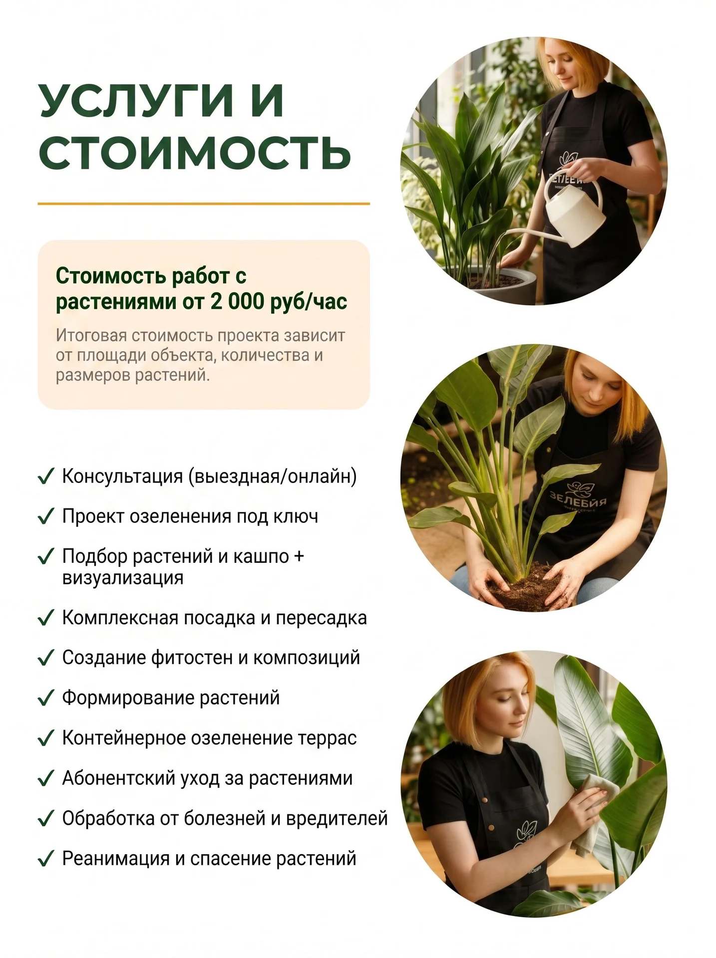 Озеленение дом/офис/ресторан Фитодизайн Уход Перес - миниатюра 7